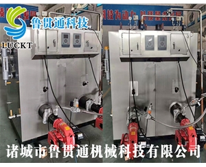 生物质蒸汽发生器